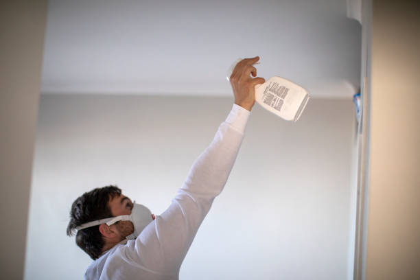 Best Commercial Mold Removal  in Pittsville, MD