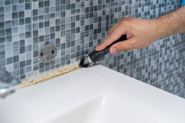 Mold Removal and Inspection in Pittsville, MD